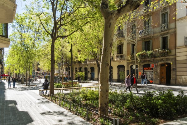 Superblock or Superilla in the Eixample neighbourhood, a highly restricted area of the city in Barcelona, Spain