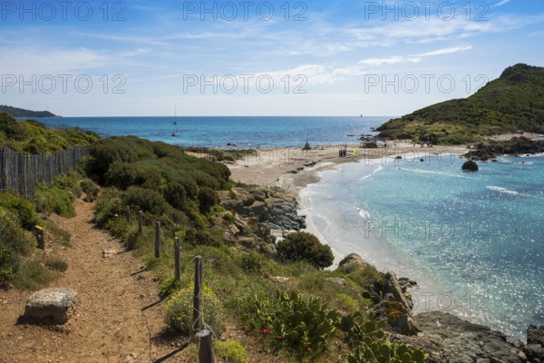 Picturesque coastal hiking trail and wild beach, Sentier du littoral, Plage Ranc, Cap Taillat, Saint Tropez, Var, French Riviera, Provence-Alpes-Cote d'Azur, Cote d Azur, France