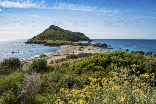Wild beach, Sentier du littoral, Plage Ranc, Cap Taillat, Saint Tropez, Var, French Riviera, Provence-Alpes-Cote d'Azur, Cote d Azur, France