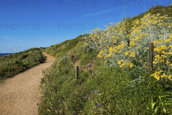 Picturesque hiking trail on the coast, Sentier du littoral, Cap Taillat, Saint Tropez, Var, French Riviera, Provence-Alpes-Cote d'Azur, Cote d Azur, France