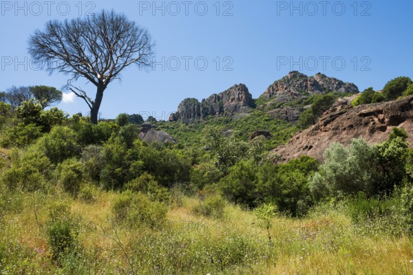 Rocher du roquebrune, Roquebrune-sur-Argens, near Saint-Raphaël, Massif de l'Esterel, Esterel Mountains, Département Var, Cote d'Azur, Provence-Alpes-Côte d'Azur, France