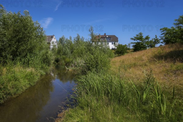 Recklinghausen, North Rhine-Westphalia, Germany - Renaturalised Hellbach, renaturalised watercourse, the Hellbach is now free of wastewater after the construction of a parallel sewer, is part of the Emscher river system and thus part of the Emscher conversion, was previously an open, above-ground wastewater channel, mixed water channel with surface water and wastewater. The renaturalised Hellbach stream strengthens the city's climate resilience, promotes biodiversity and helps to mitigate urban warming caused by climate change