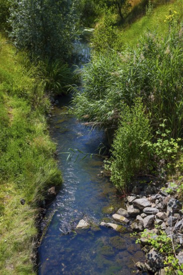 Recklinghausen, North Rhine-Westphalia, Germany - Renaturalised Hellbach, renaturalised watercourse, the Hellbach is now free of wastewater after the construction of a parallel sewer, is part of the Emscher river system and thus part of the Emscher conversion, was previously an open, above-ground wastewater channel, mixed water channel with surface water and wastewater. The renaturalised Hellbach stream strengthens the city's climate resilience, promotes biodiversity and helps to mitigate urban warming caused by climate change