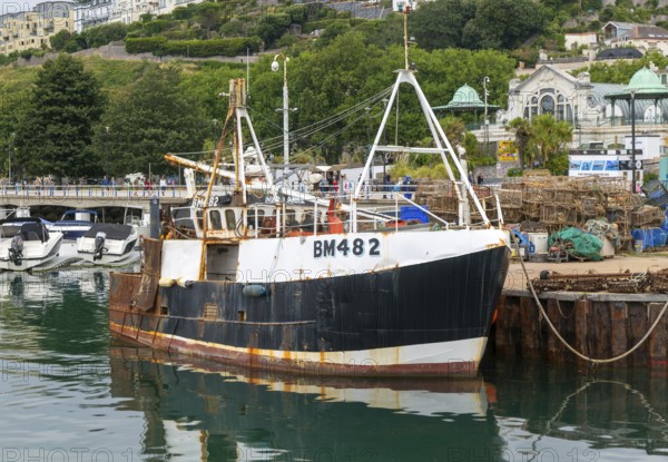 FV Mary Anne BM482 fishing vessel boat in harbour, Torquay, Devon, England, UK
