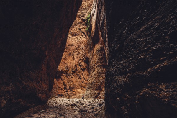 Bungle Bungles in Australia in the Outback, Australia