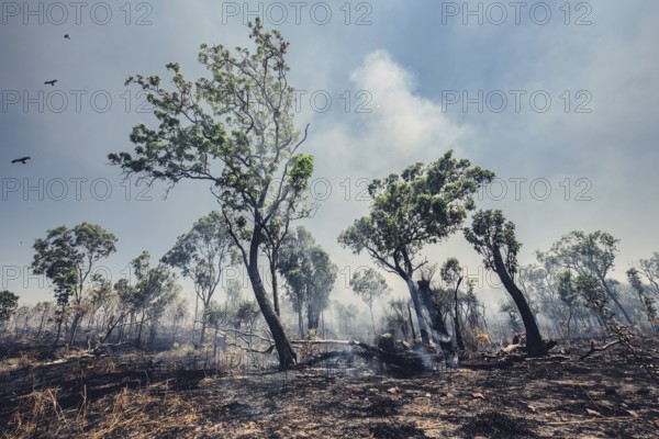Bushfires in the Australian outback