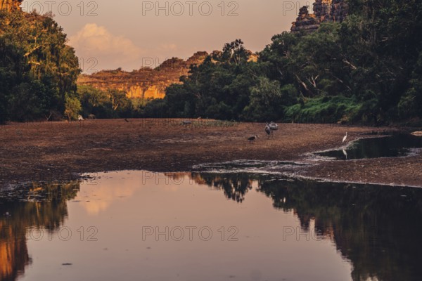 Special light atmosphere in the outback at Windjana Gorge National Park in Australia