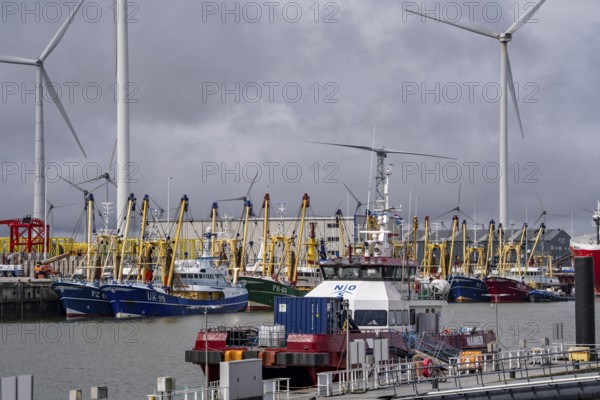 Fishing boats in Beatrixhaven, the seaport of Eemshaven, industrial harbour, at the quay, Netherlands