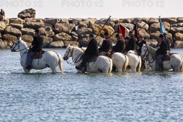 Guardians of the Camargue, traditional shepherds riding through water, rider on Camargue horse, pilgrimage, procession by the sea, Saintes-Maries-de-la-Mer, Camargue, France