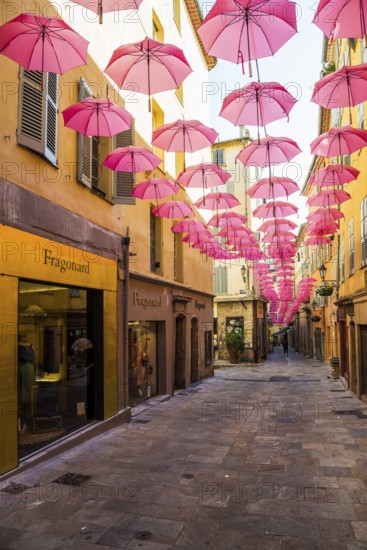 Picturesque alley in the old town, Grasse, Alpes Maritimes, Provence Alpes Cote d'Azur, French Riviera, South of France, France
