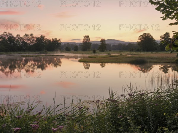 Morning atmosphere at a pond in the Schoren nature reserve, Mühlau, Freiamt, Canton Aargau, Switzerland