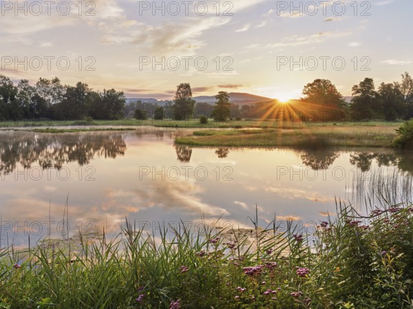 Sunrise at a pond in the Schoren nature reserve, Mühlau, Freiamt, Canton Aargau, Switzerland