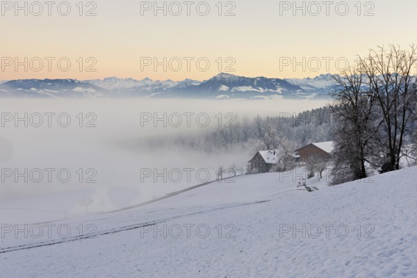 Farm in a freshly snow-covered landscape, behind the Alps with Rigi, Horben, Freiamt, Canton Aargau, Switzerland