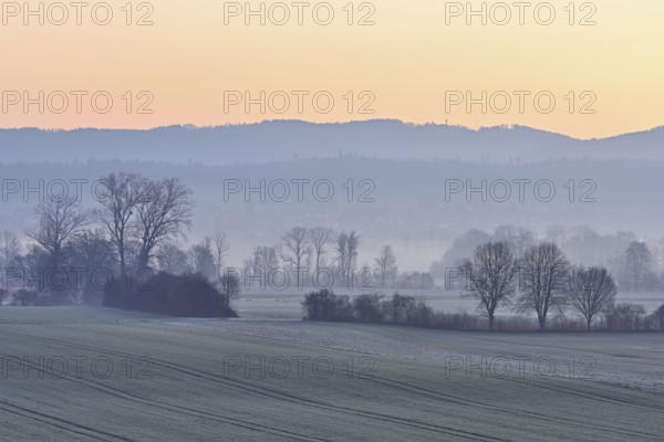Meadows and trees in the early morning mist in the light of dawn, Reusstal, Aristau, Freiamt, Canton Aargau, Switzerland