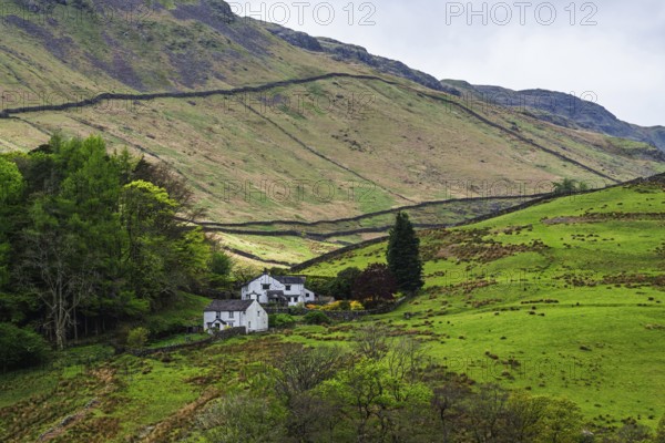 Farms in Lake District National Park, Cumbria, England, United Kingdom