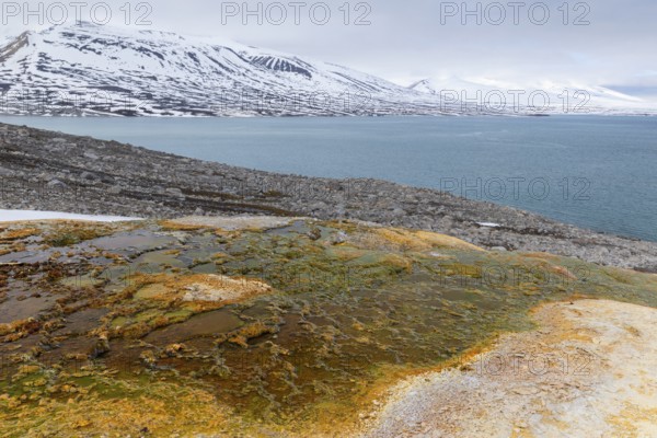 Hot spring, discoloured rock, sinter, mountain range, sea, Jotunkjeldene, Spitsbergen, Svalbard