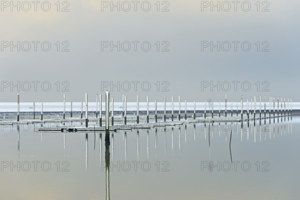 Winter day, onset of winter, snow on the jetties in the marina, North Sea, Norddeich, Lower Saxony, Germany