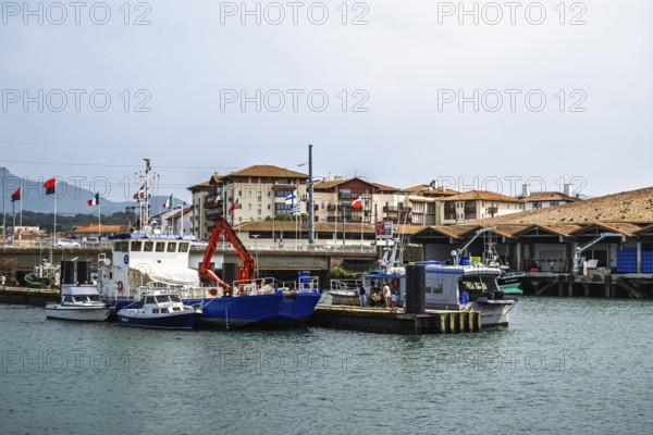 Marina in Saint-Jean-de-Luz, Nouvelle-Aquitaine, Pyrenees-Atlantiques, France