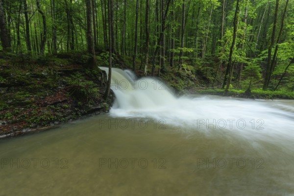 Roaring Weißbach after summer rain near Inzell