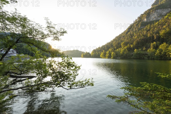 Sunrise in summer at Lake Thumsee near Bad Reichenhall