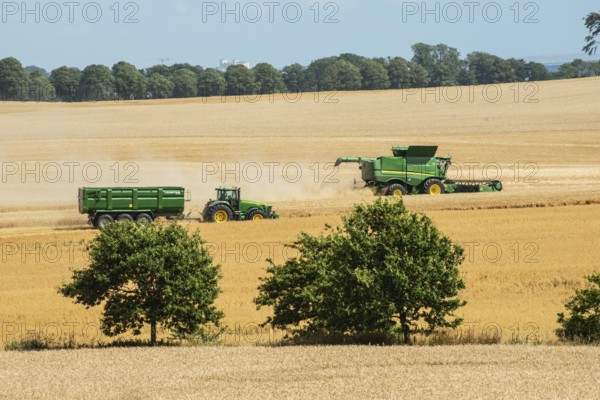 Landscape with threshing of grain with combine harvester at Ystad, Skåne county, Sweden, Scandinavia