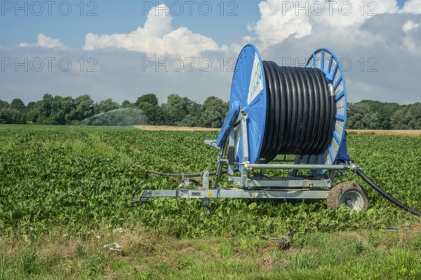 Agriculture, artificial irrigation of a field, irrigation system, sugar beet cultivation, Ystad municipality, Skåne county, Sweden, Scandinavia