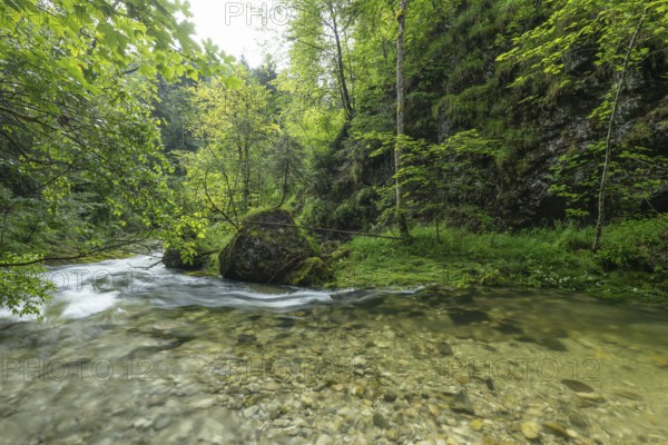 Wild and romantic Weißbach Gorge near Inzell