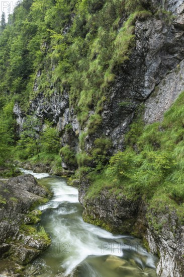 Wild and romantic Weißbach Gorge near Inzell