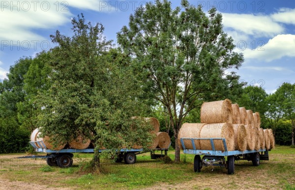Straw bales on a trailer, agriculture in Hesse, Germany