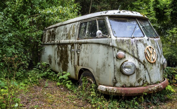 Old, weathered VW bus parked in a wooded area, Hesse, Germany