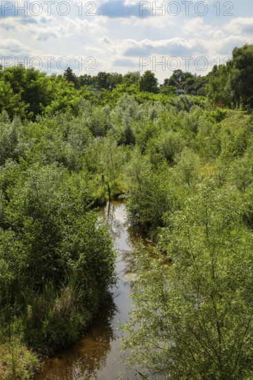 Bottrop, North Rhine-Westphalia, Germany - Renaturalised Boye, the tributary of the Emscher, was transformed into a near-natural watercourse, flood protection through newly designed flooding areas, the Boye is now free of sewage after the construction of a parallel sewer, is part of the Emscher river system and thus part of the Emscher conversion, was previously an open, above-ground wastewater channel, mixed water channel with surface water and wastewater