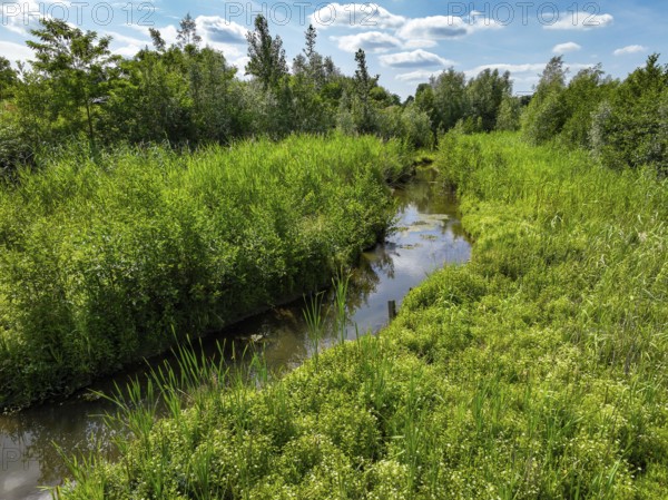 Bottrop, North Rhine-Westphalia, Germany - Renaturalised Boye, the tributary of the Emscher, was transformed into a near-natural watercourse, flood protection through newly designed flooding areas, the Boye is now free of sewage after the construction of a parallel sewer, is part of the Emscher river system and thus part of the Emscher conversion, was previously an open, above-ground wastewater channel, mixed water channel with surface water and wastewater