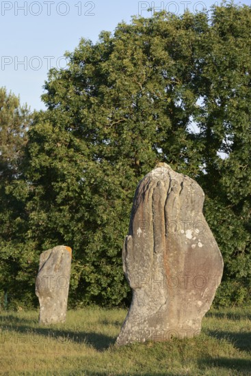 Megalithe, Alignements du Menec, Carnac, Department of Morbihan, Brittany, France