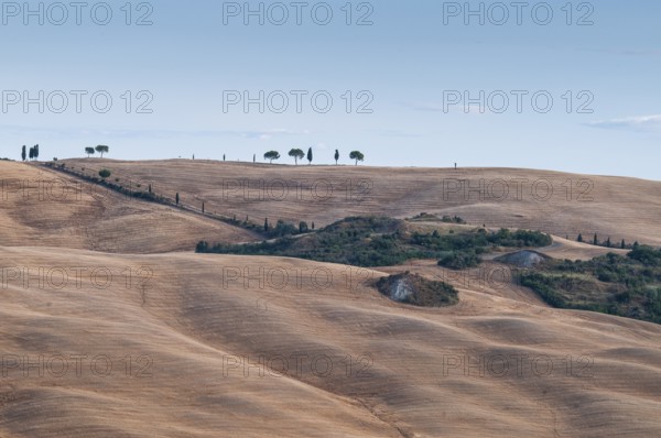Tuscan landscape, Tuscany, Italy