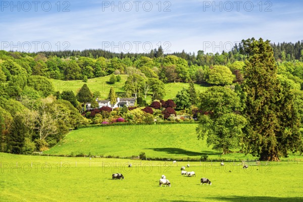 Farms in Lake District National Park, Cumbria, England, United Kingdom