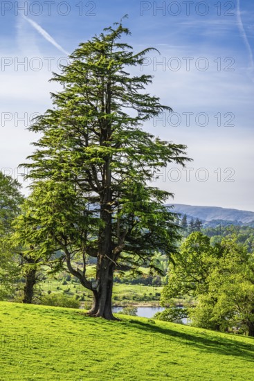 Farms in Lake District National Park, Cumbria, England, United Kingdom