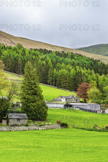 Farms in Lake District National Park, Cumbria, England, United Kingdom
