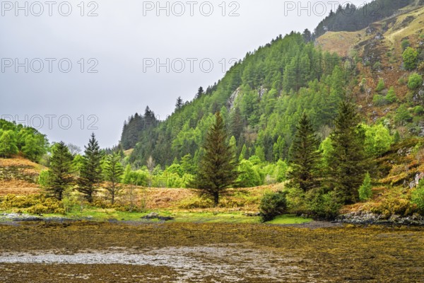Ault a'chruinn, Loch Duich, Scotland, UK