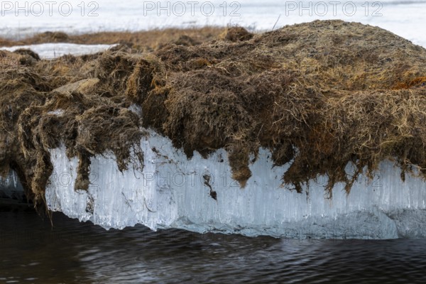 Permafrost, ice below the surface, Aventdalen, Longyearbyen, Spitsbergen, Svalbard