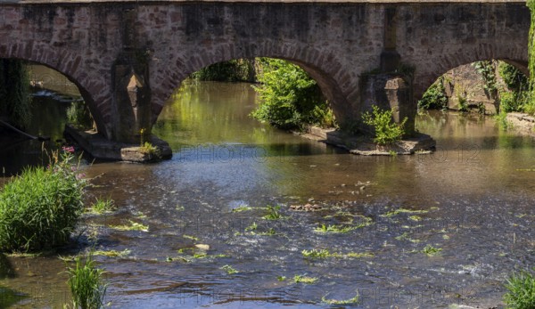 The old town centre with the town wall and the Seemenbach stream, Büdingen, Hesse, Germany