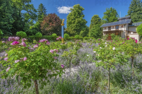 Rosarium with blooming roses in front of the Pompeian-Bavarian Casino on the Rose Island in Lake Starnberg, Feldafing, Upper Bavaria, Bavaria, Germany
