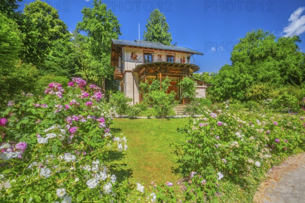 Rose garden in front of the Pompeian-Bavarian casino on the Rose Island in Lake Starnberg, Feldafing, Upper Bavaria, Bavaria, Germany