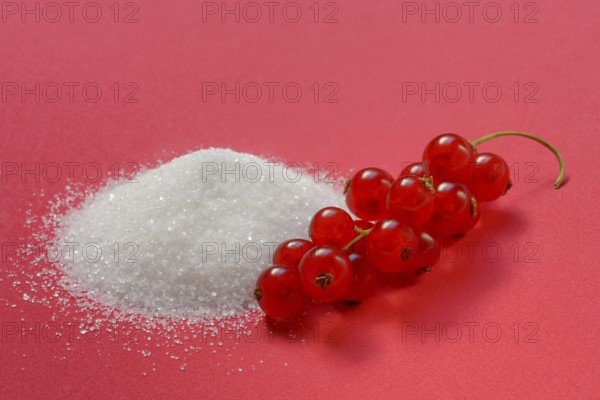Redcurrants and piles of sugar