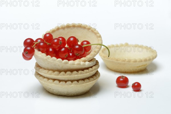 Redcurrant in cake tartlets, ready-made tartelette