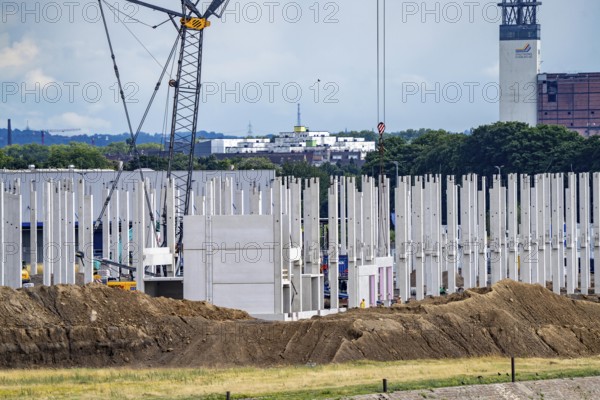 Construction of a new logistics hall on the Mercatroinsel, Hall 2, next to an existing hall, approx. 25, 000 square metres in size, in Duisburg-Ruhrort, shell construction, North Rhine-Westphalia, Germany