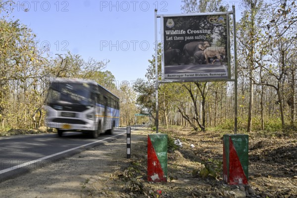 Shield Wildlife Crossing, Corbett National Park, near Ramnagar, Uttarakhand State, India