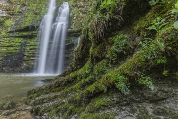 Two beautiful waterfalls flow gracefully into a tranquil pool lined with vibrant green foliage. This tranquil, natural spot invites you to explore and relax in the wilderness. cascades du Flumen, st Claude, jura, France
