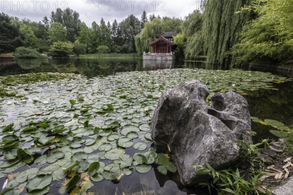 Chinese Garden, Gardens of the World, Berlin, Germany