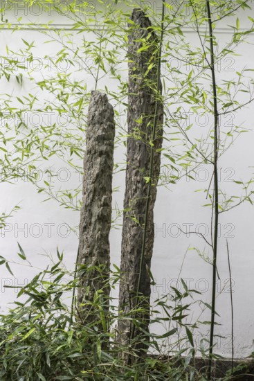 Chinese Garden, Gardens of the World, Berlin, Germany