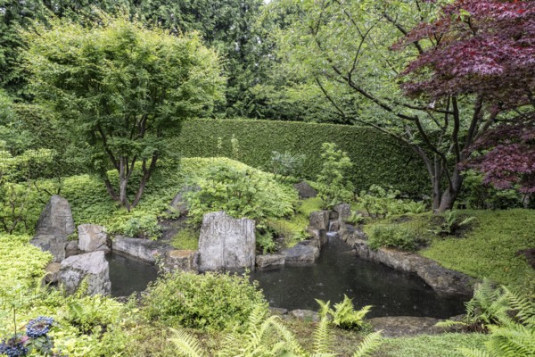 Japanese Garden, Gardens of the World, Berlin, Germany